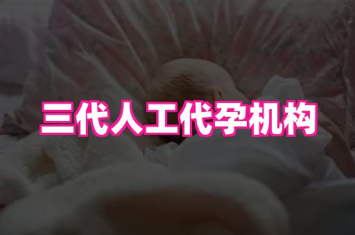 点点助孕网 1