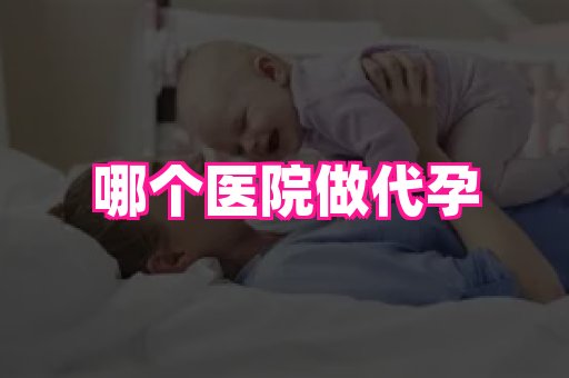 点点助孕网 2