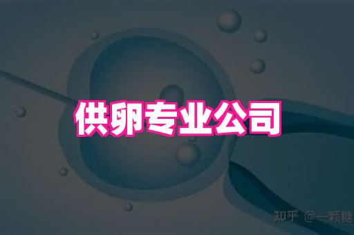 点点助孕网 4